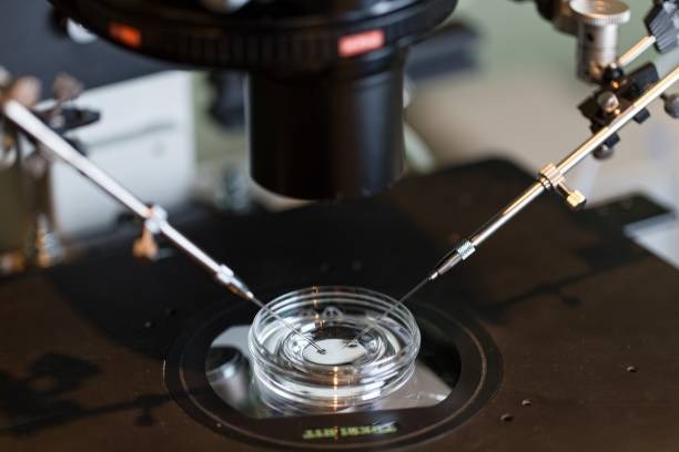 What Does This IVF Cost Guide for 2026 Reveal?
