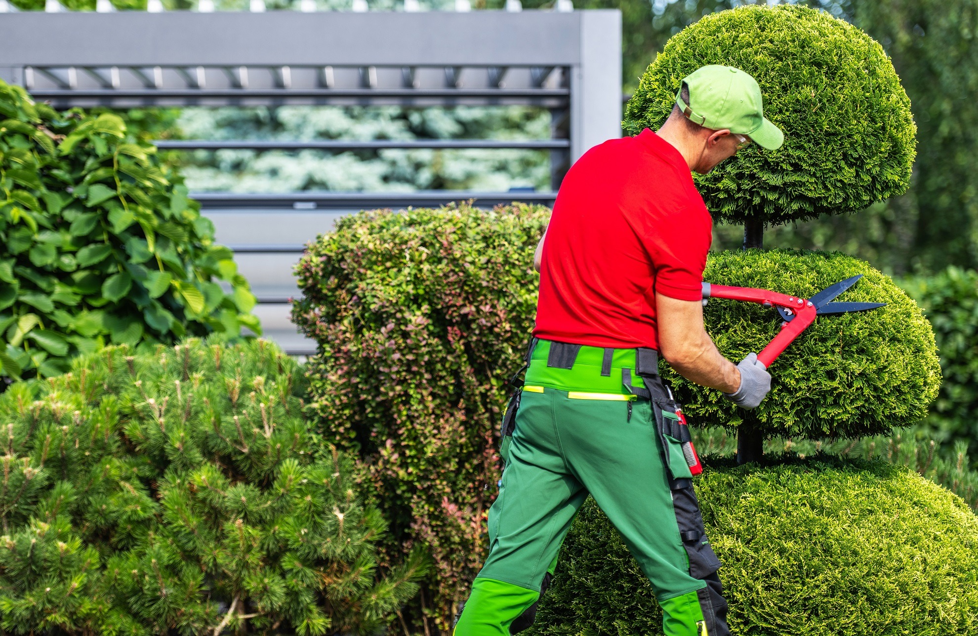 Affordable Garden Solutions from tree surgeon Heald Green Specialists